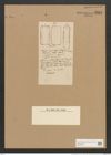 Amphora parallela Floeg. (de-Toni-Nr.: Genus 36, Species 1528) Zeichnungen Sammlung Grunow Nr. 2951 (NHMW-BOT-W0370305)
